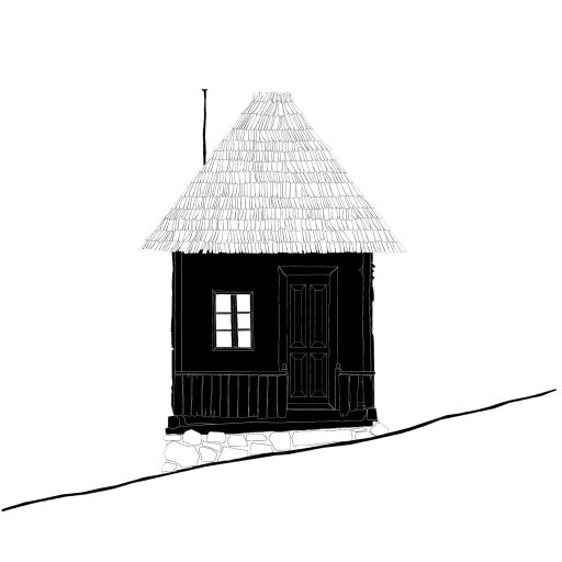 Building survey, Releveu, Nucsoara